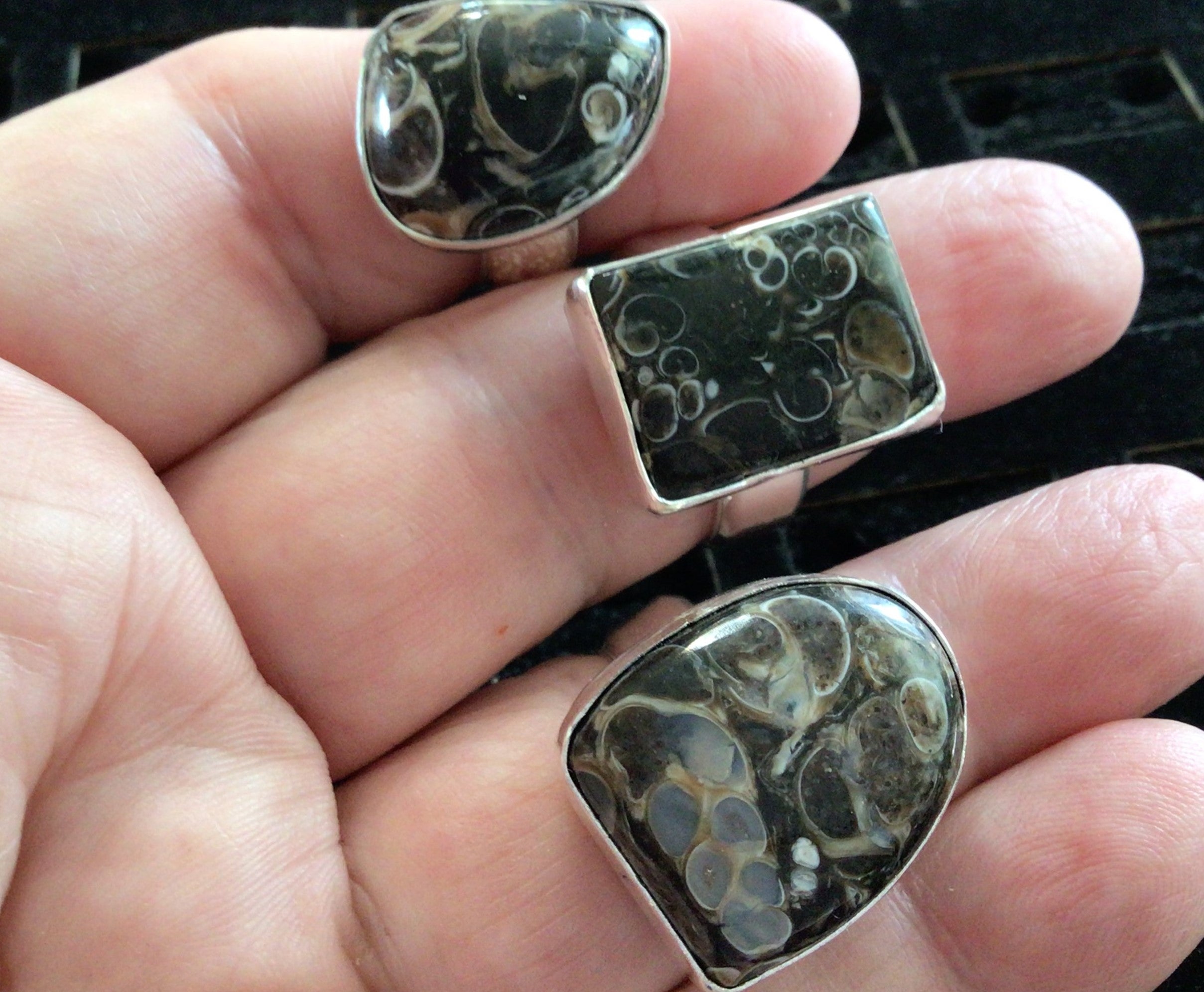 Turritella Agate Ring(snail fossil)