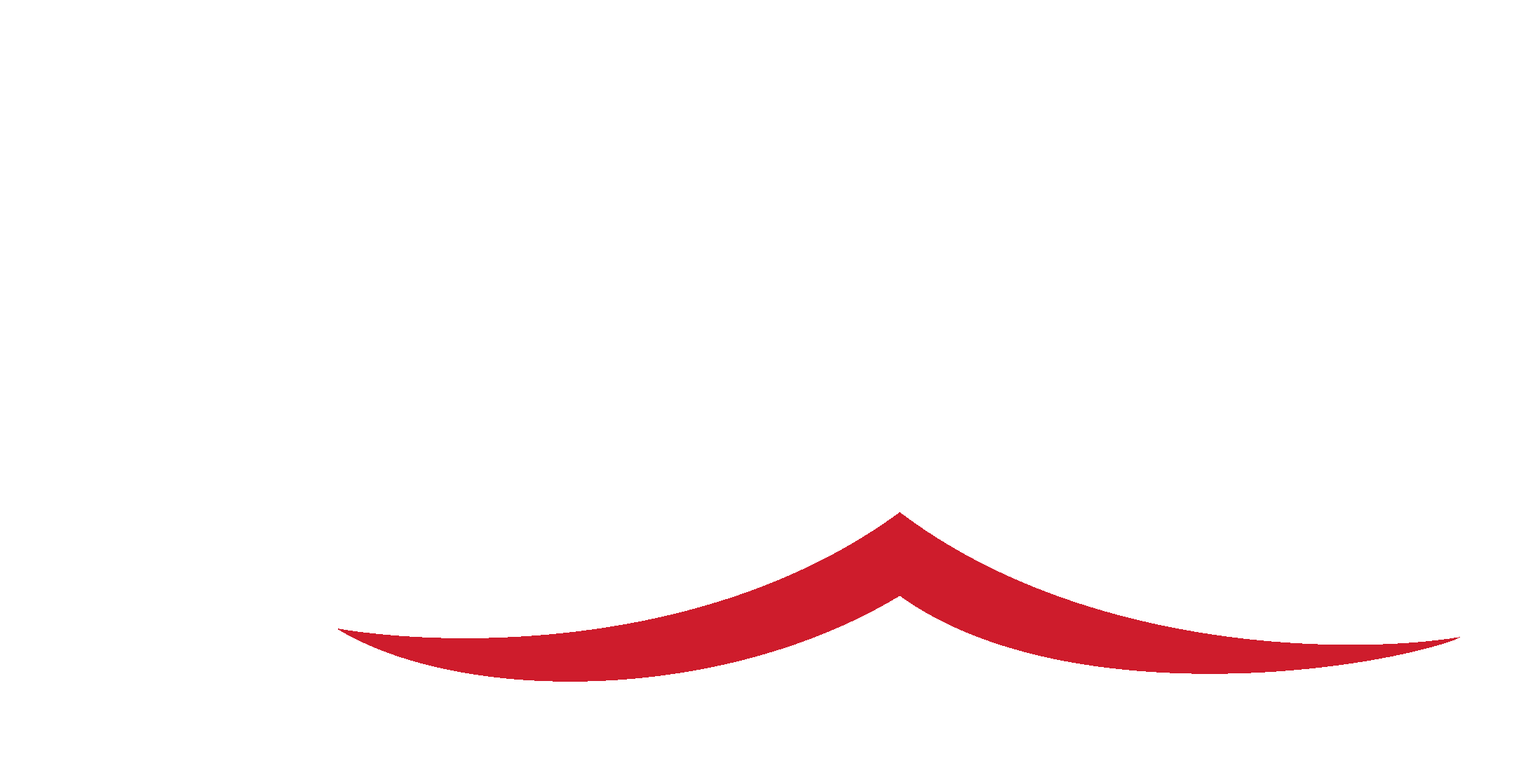 Shoreline Design