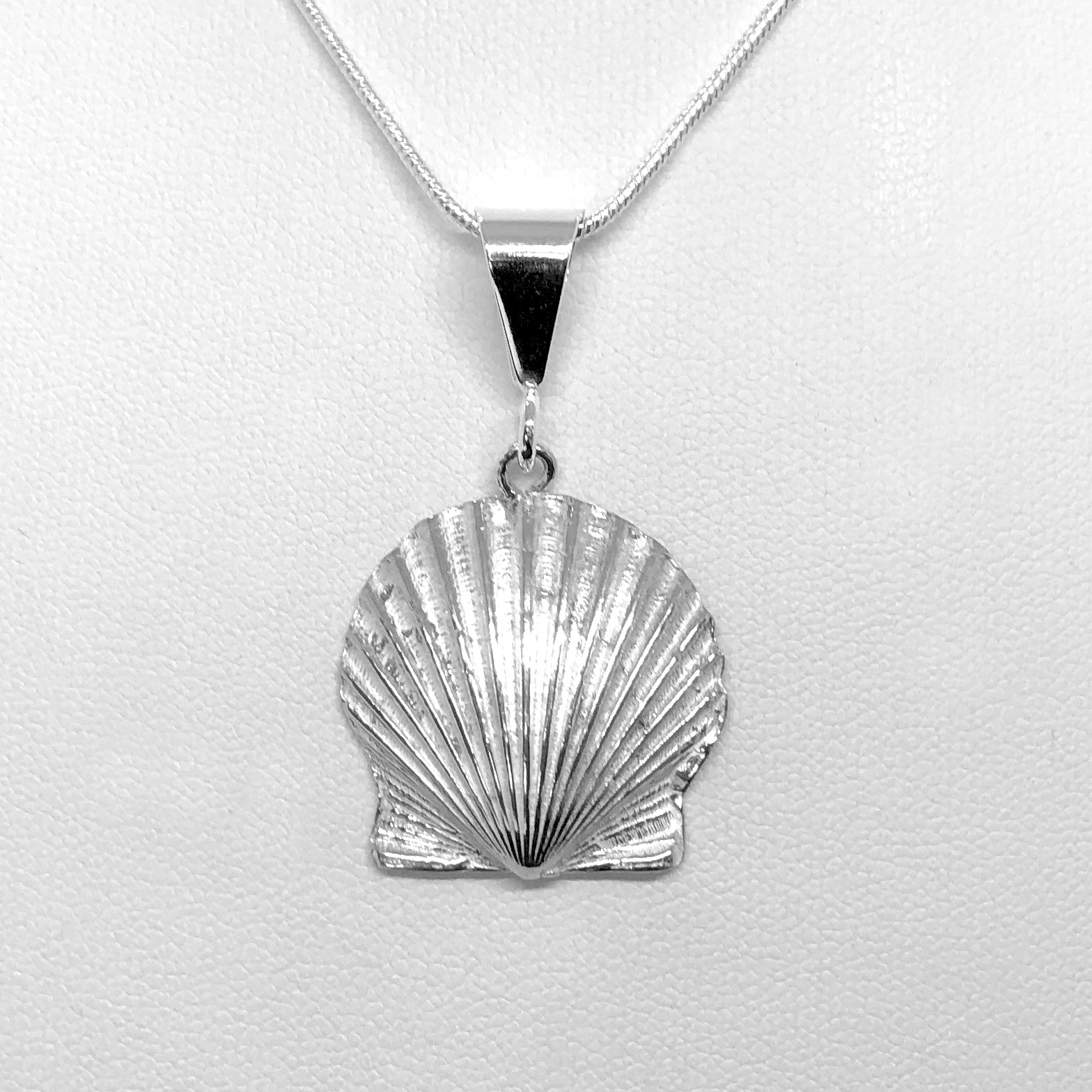 Scallop Shell Pendant – Shoreline Design